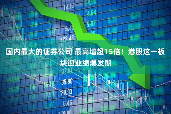 国内最大的证券公司 最高增超15倍！港股这一板块迎业绩爆发期