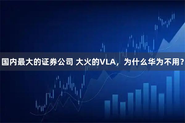 国内最大的证券公司 大火的VLA，为什么华为不用？